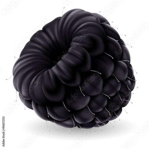 Blackberry on white background