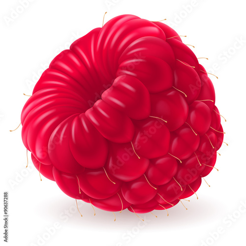 Appetizing fresh raspberry