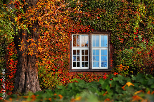 autumn leaves with white window #90644860