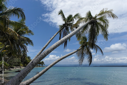 Fototapeta Naklejka Na Ścianę i Meble -  Impressions from Costa Rica