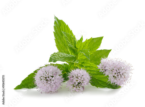 mint with flowers isolated on white background