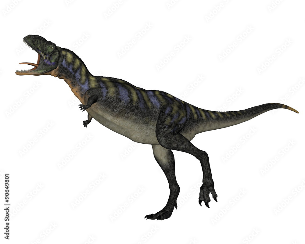 Fototapeta premium Aucasaurus dinosaur walking roaring - 3D render