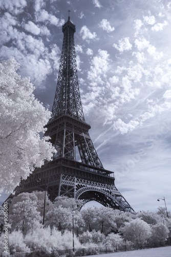 Fototapeta Naklejka Na Ścianę i Meble -  Eiffel tower in infrared