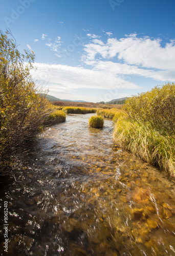 Creek flowing through Yellowstone National Park.