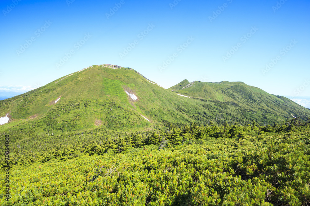 Naklejka premium Summer of Mt.Hakkodasan, Aomori Prefecture, Japan