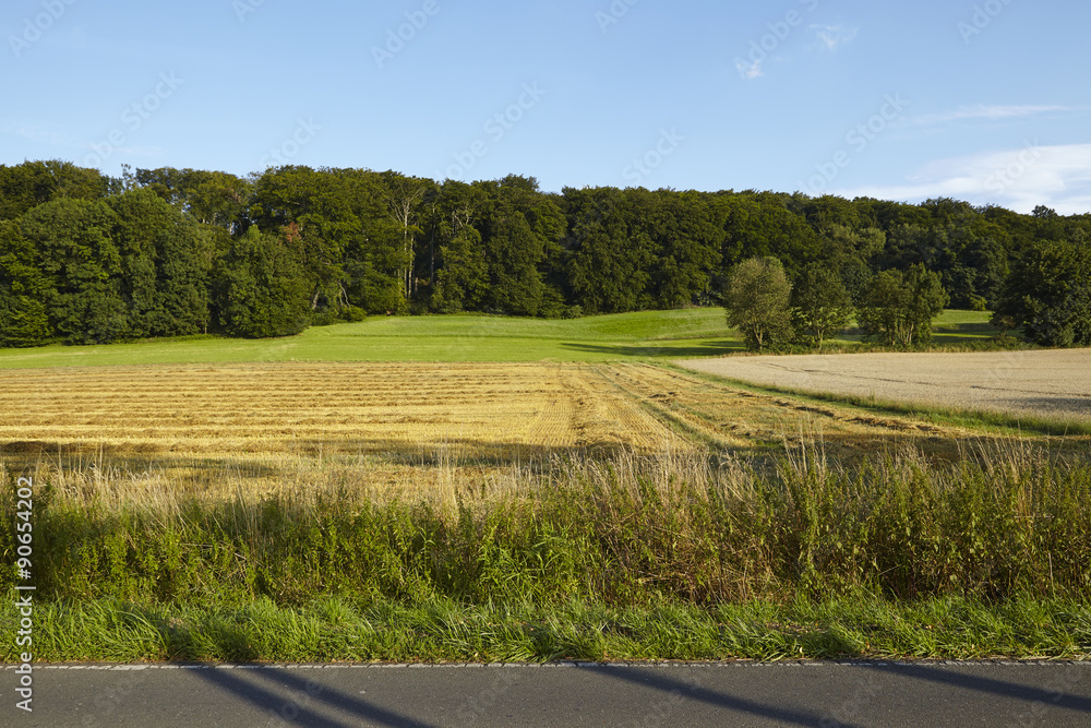 Landschaft mit Feldern und Waldrand im Ruhrgebiet