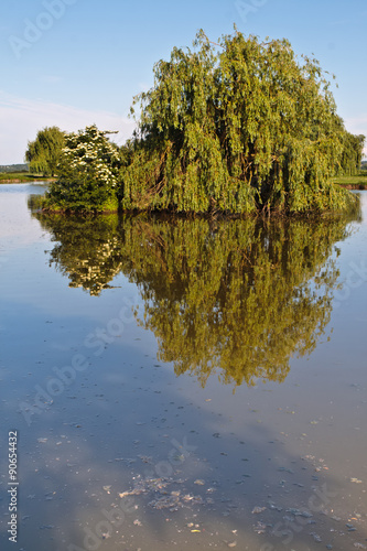 Crissey (Saône et loire) photo