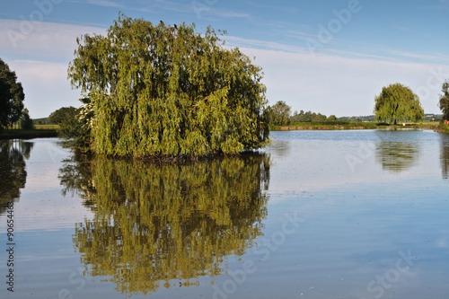 Crissey (Saône et loire) photo