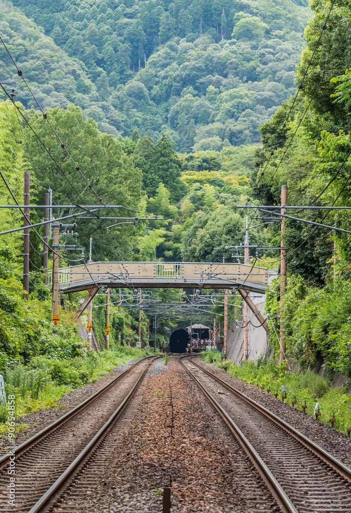 Railways in Arashiyama Japan passing through bamboo forest Railways in Arashiyama Japan passing through bamboo forest
