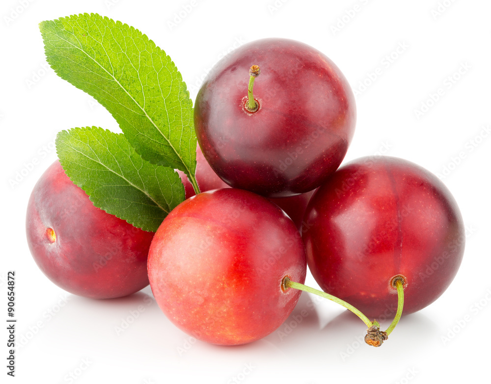 red cherry plums isolated on the white background