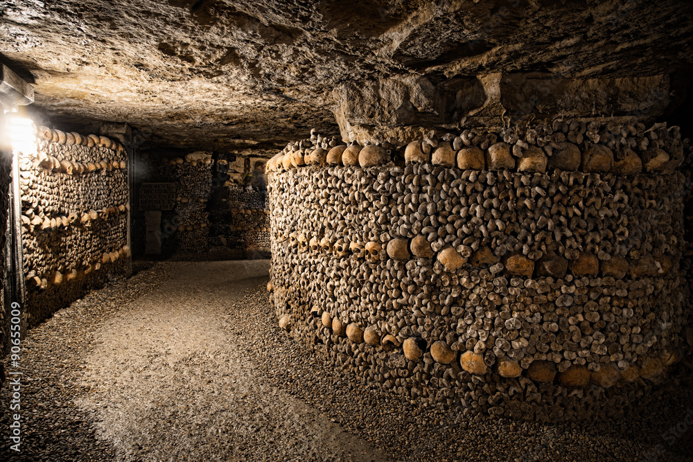 Fototapeta premium Catacombs of Paris - Skulls and Bones in the Realm of the Dead -4