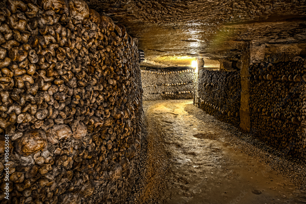 Fototapeta premium Catacombs of Paris - Skulls and Bones in the Realm of the Dead.