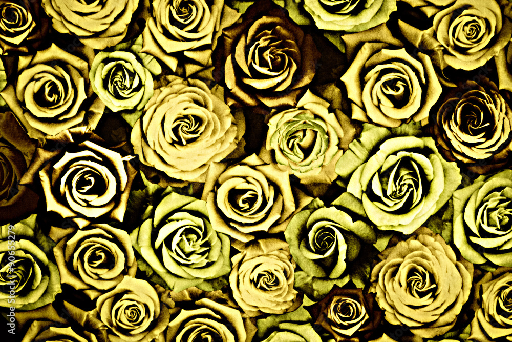 texture fabric of rose for background texture fabric of rose for background