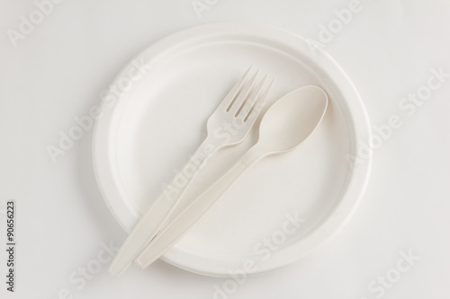 Fork and spoon with Disposable Paper Plate