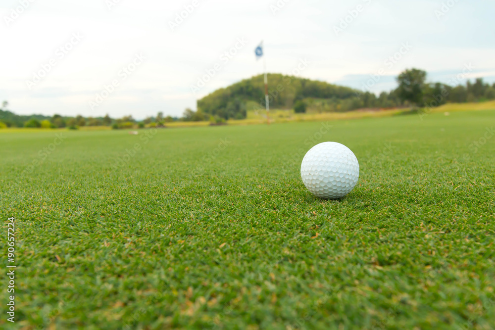 golf ball in fairway golf ball in fairway