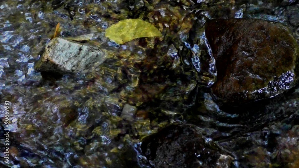 Flowing stream in forest with stones Flowing stream in forest with stones