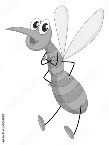 Single mosquito flying on white