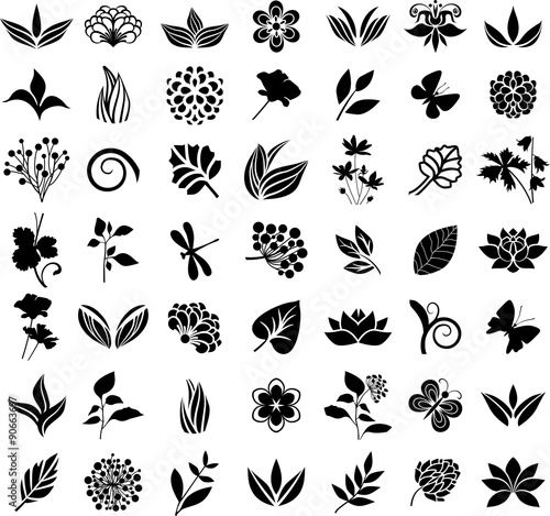 Floral collection