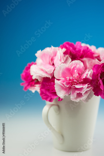 Wallpaper Mural カーネーション Torontodigital.ca