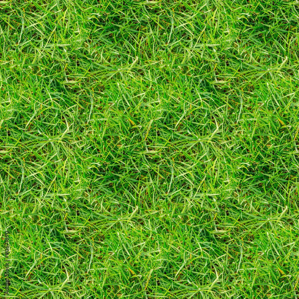 Green grass seamless texture Green grass seamless texture