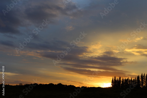 sunset and forest silhouette