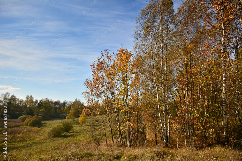 Fototapeta premium autumn landscape