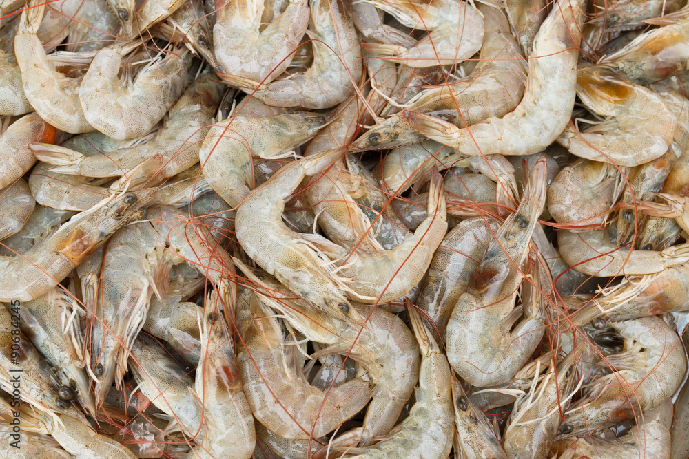 Fresh shrimp at the market for sell