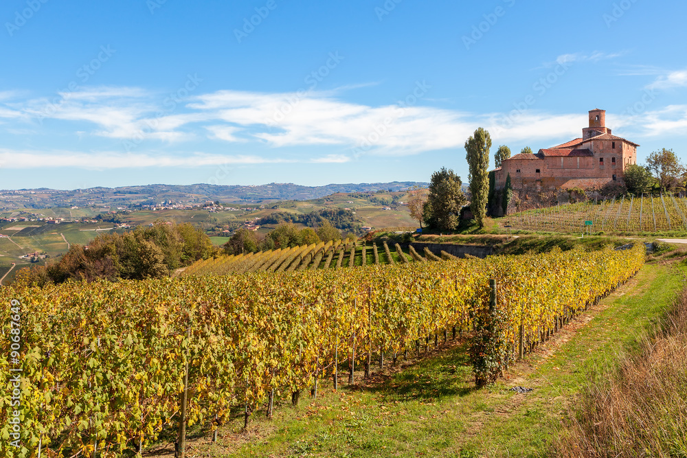Autumnal vineyards and old castle in Italy.