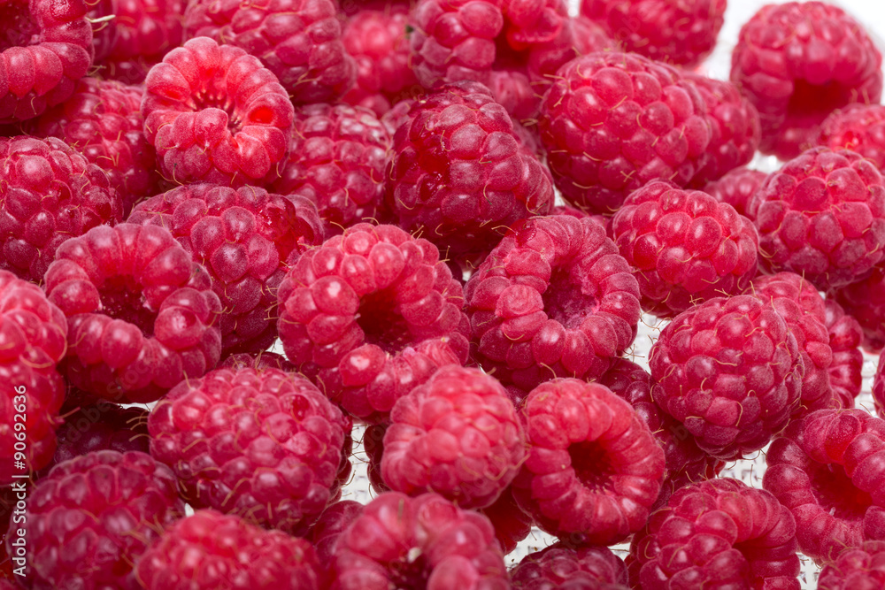 A beautiful selection of freshly picked ripe red raspberries. A beautiful selection of freshly picked ripe red raspberries.
