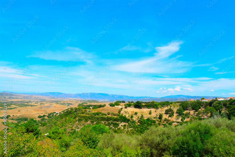 green landscape under a blue sky in Sardinia