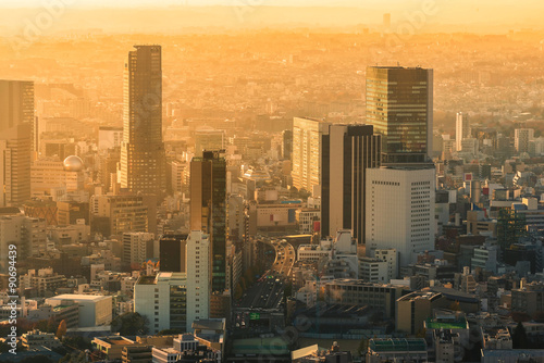 Skyline of Tokyo Cityscape at Sunset  Japan