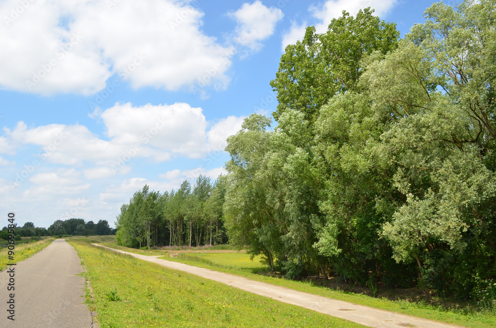 Bicycle trail on top of a dike, next to walking trail and forest patch