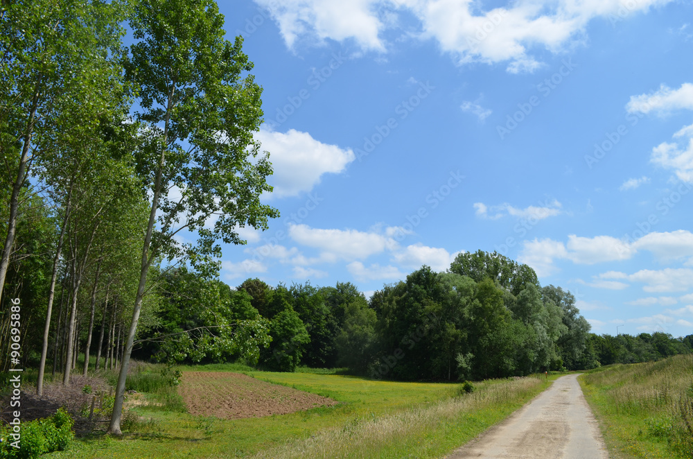 Bicycle trail through countryside