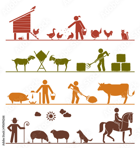 Pictogram icons presenting feeding of domestic animals on the farm. Feeding chickens and poultry, feeding goats with hay, feeding pigs and cattle, grazing sheep, riding horse. Agriculture icons.