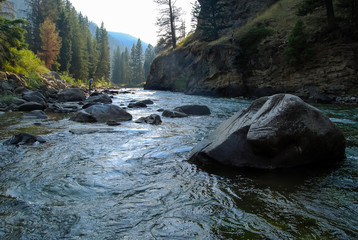 Papier peint photo Rivière Rivière Gallatin au cœur du Montana  © melissadoar
