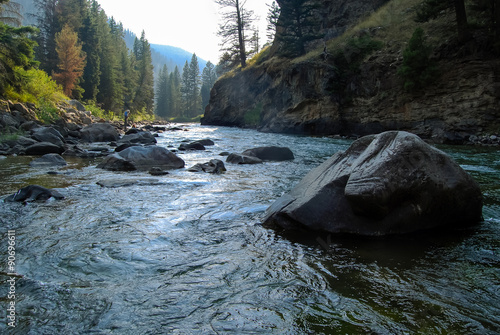 Fototapeta Gallatin River, Montana