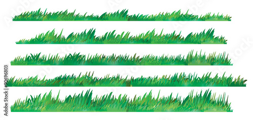 Green Grass Set on White Background, Vector Illustration