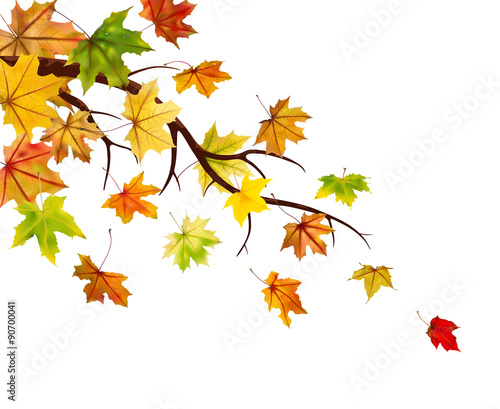 Branch with autumn maple leaves  vector illustration.