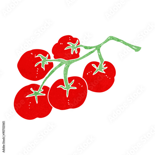 tomatoes on vine illustration
