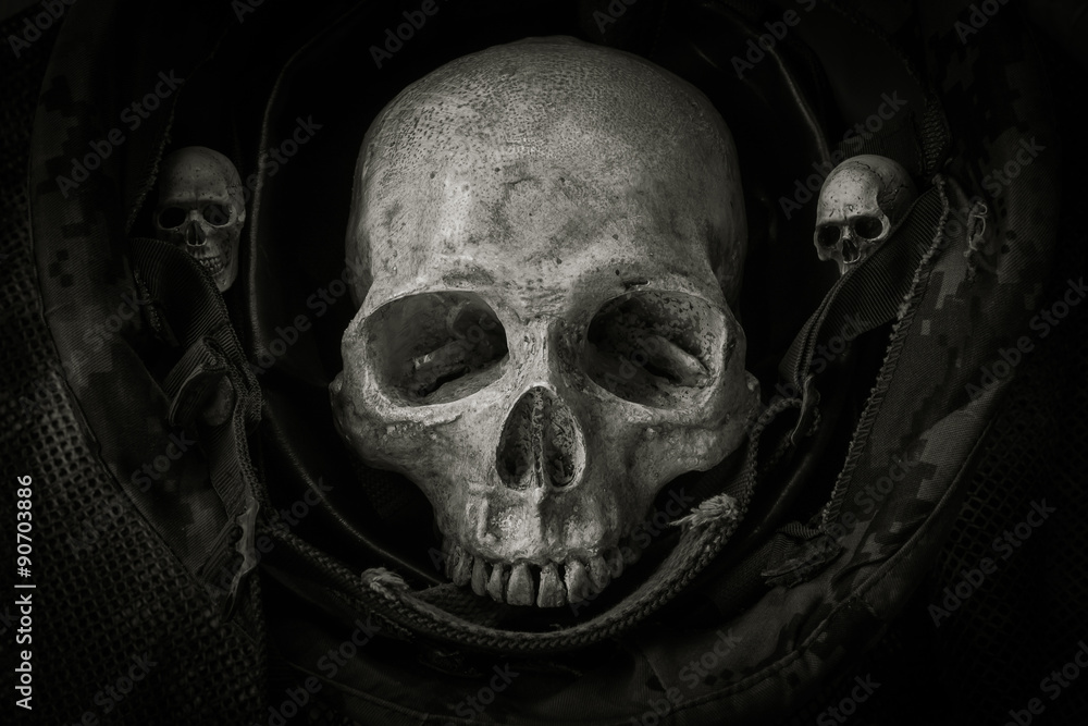 Still life soldier skull Still life soldier skull