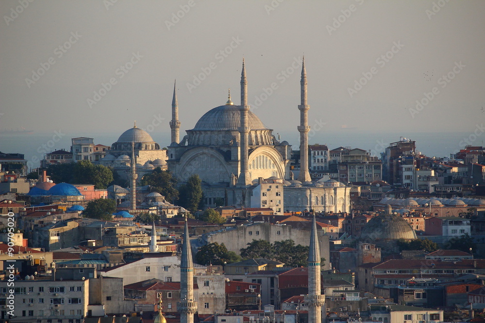 Naklejka premium mosque in istanbul