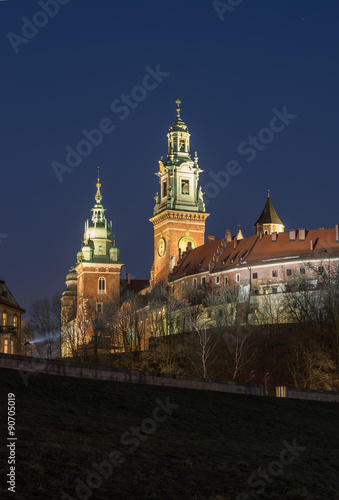 Wawel Castle and Wawel cathedral seen from the Vistula boulevards in the evening #90705019