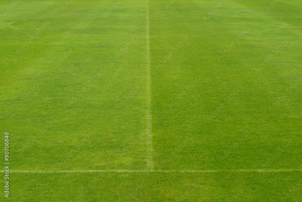 beautiful pattern of fresh green grass for football sport, footb