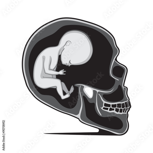 Fetus inside Skulls