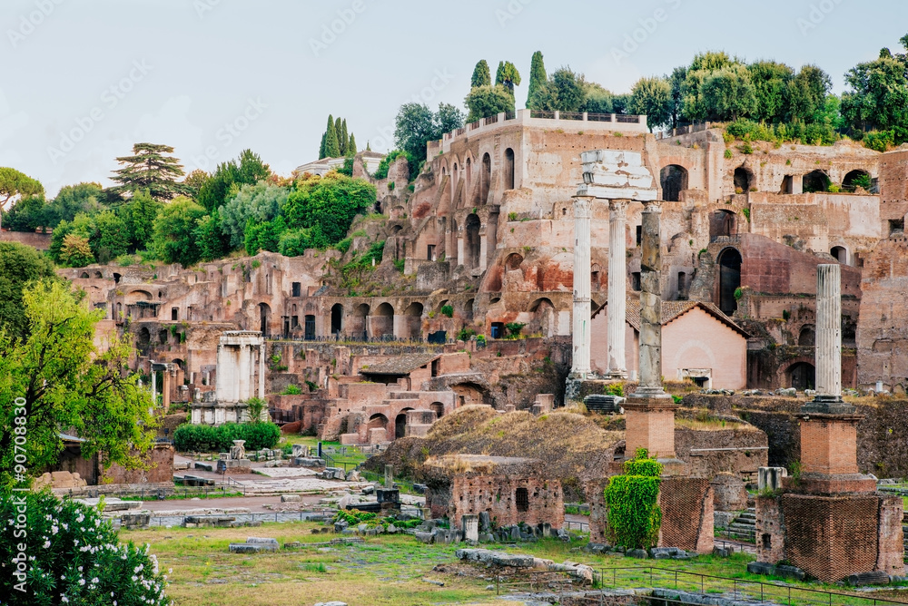 Ancient Roman Forum ruins, Rome, Italy.