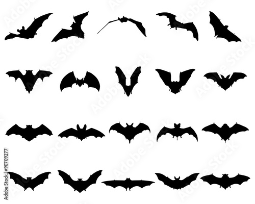 Black silhouettes of different bats, vector