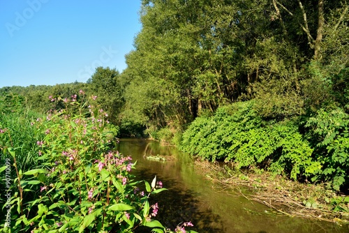 River "Güns" near "Lockenhaus" in the "Burgenland" surrounded by flowers and trees