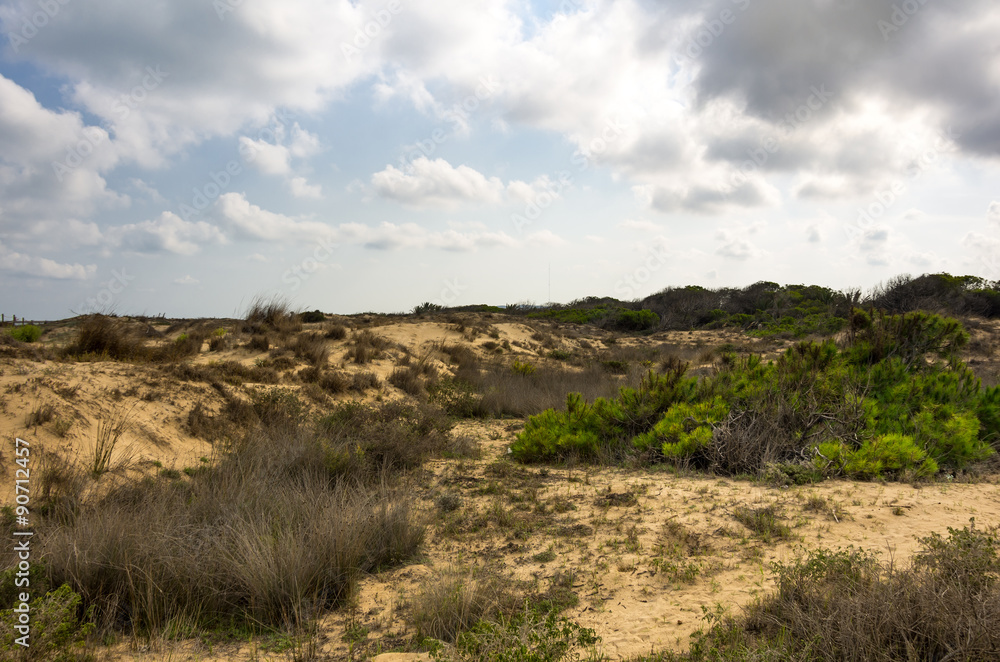 Dunes de La Marina Dunes de La Marina