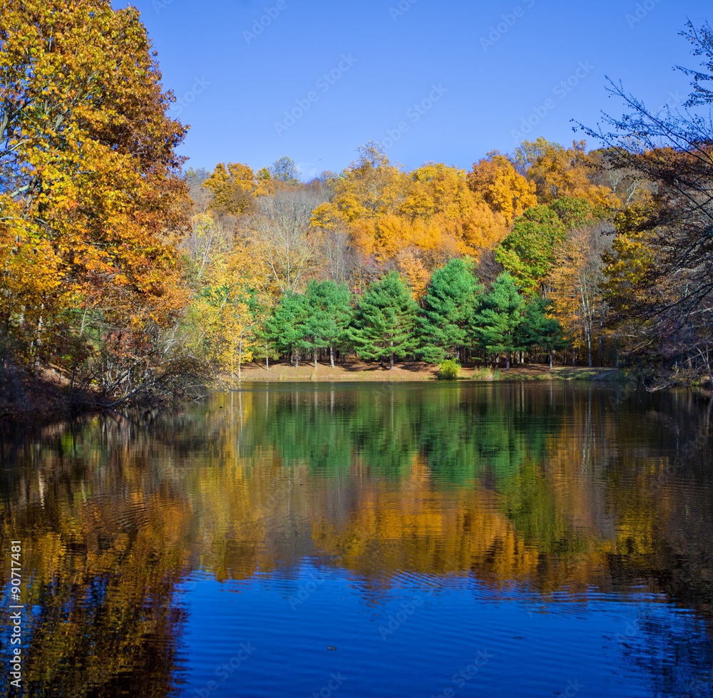 Fall lake