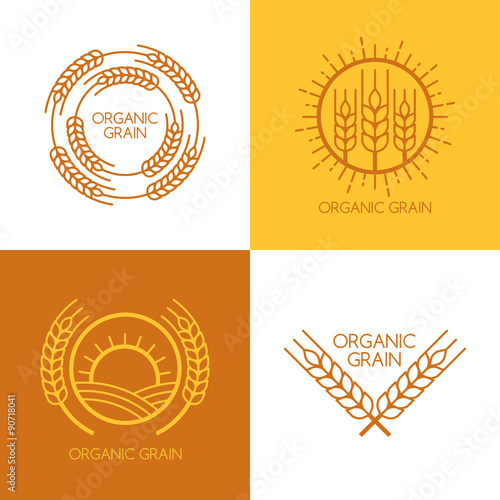 Set of vector linear wheat, fields logo design template.